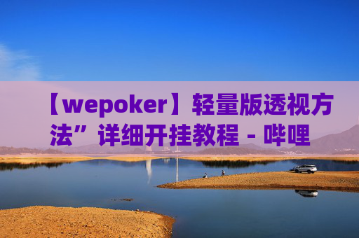 【wepoker】轻量版透视方法”详细开挂教程 - 哔哩