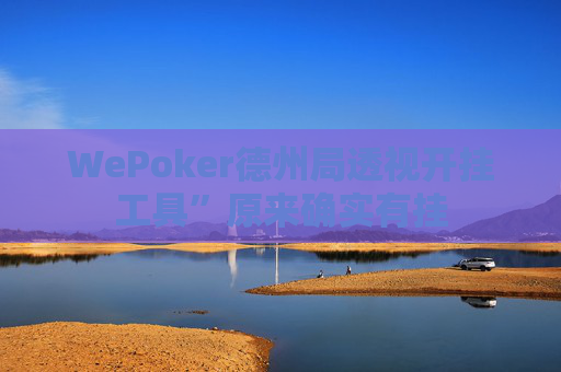 WePoker德州局透视开挂工具”原来确实有挂