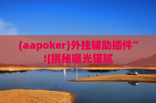 (aapoker)外挂辅助插件”![揭秘曝光猫腻