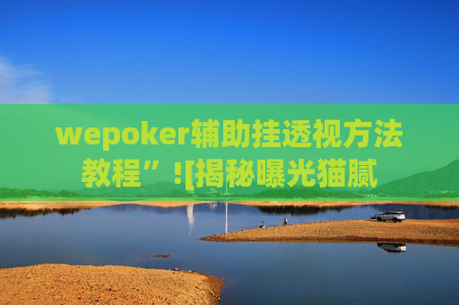 wepoker辅助挂透视方法教程”![揭秘曝光猫腻-第1张图片-外挂论坛