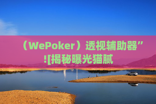 （WePoker）透视辅助器”![揭秘曝光猫腻