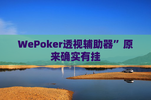 WePoker透视辅助器”原来确实有挂