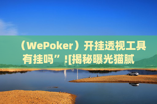 （WePoker）开挂透视工具有挂吗”![揭秘曝光猫腻-第1张图片-外挂论坛