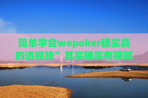 简单学会wepoker确实真的透视挂”其实确实有猫腻