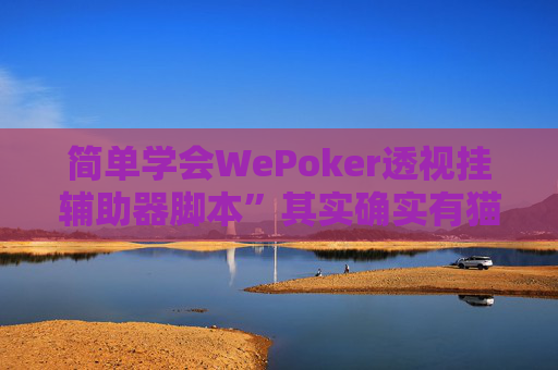 简单学会WePoker透视挂辅助器脚本”其实确实有猫腻