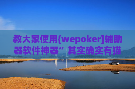 教大家使用{wepoker]辅助器软件神器”其实确实有猫腻