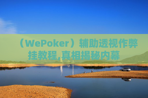 （WePoker）辅助透视作弊挂教程,真相揭秘内幕