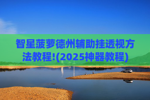 智星菠萝德州辅助挂透视方法教程!(2025神器教程)