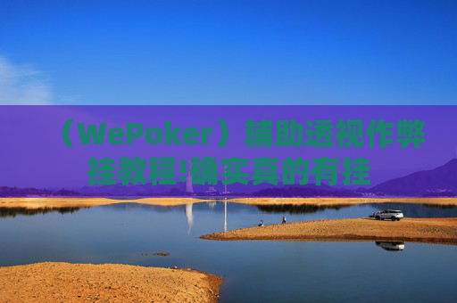 （WePoker）辅助透视作弊挂教程!确实真的有挂